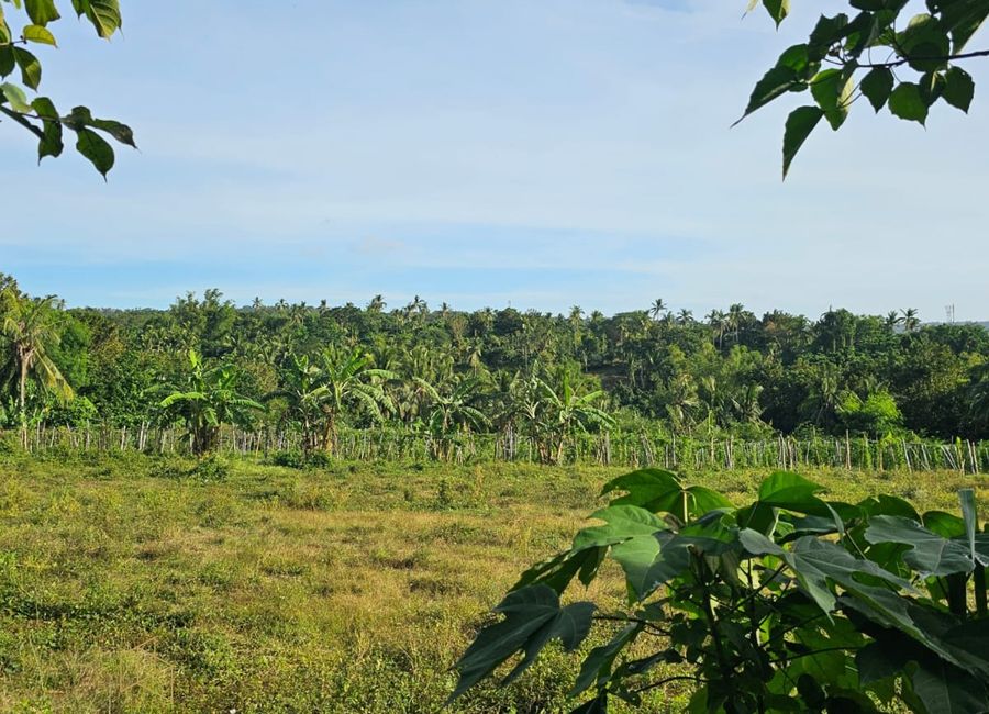 Mabini Avenue, Barangay 5, Tanauan, Batangas image 2