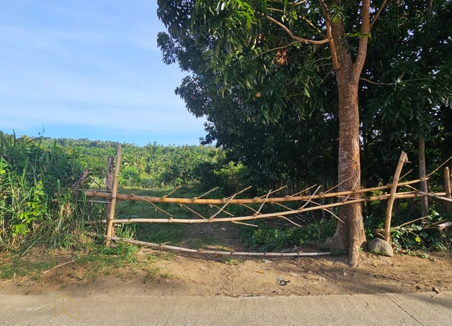 Mabini Avenue, Barangay 5, Tanauan, Batangas image 3