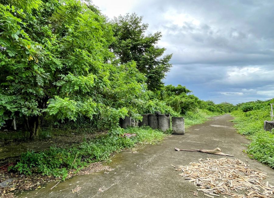 J. P. Rizal Street, Barangay 6, Poblacion, Calamba, Calamba, Laguna image 3