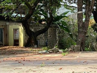 FOR SALE - Commercial Vacant Lot in Victoneta Village, Malabon City