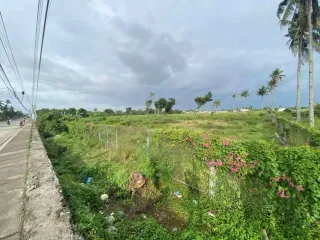 Prime Development Land for Sale in Carcar, Cebu – 4,919 SQM Along Main Road