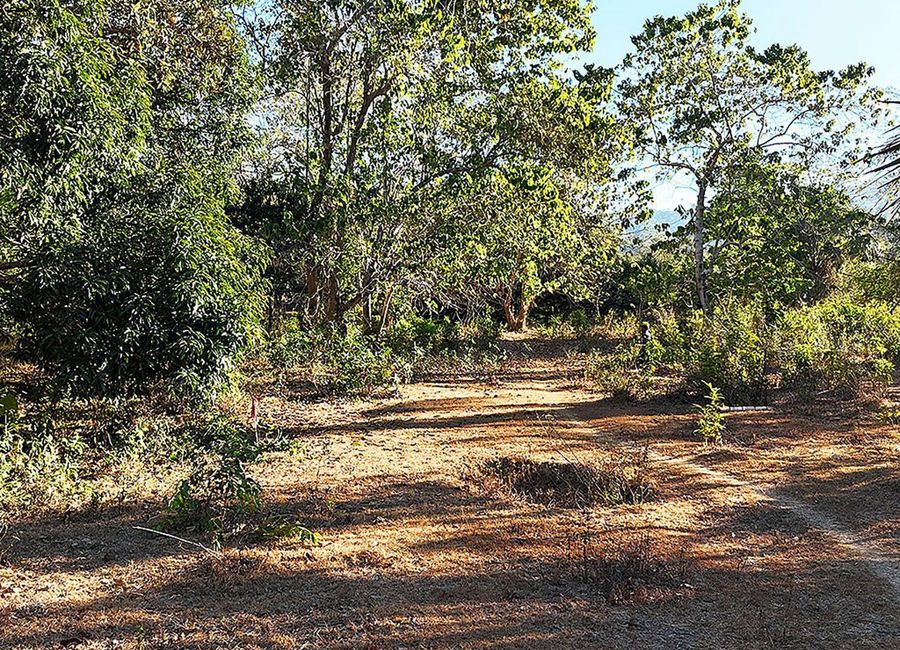 place photo 8