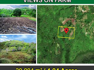 20,004 sqm / 4.94 Acres | Stunning Tropical Ocean Views on Estate