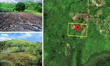 20,004 sqm / 4.94 Acres | Stunning Tropical Ocean Views on Estate