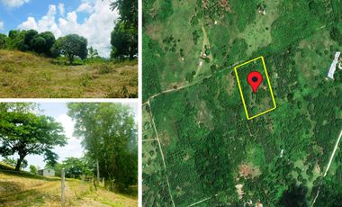 15,000 sqm / 3.7 Acres | Puerto Princesa City, Palawan - An Excellent Leisure Farm