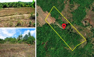 29,932 m2 / 7.40 Acres | Homestead Estate for Peaceful Living