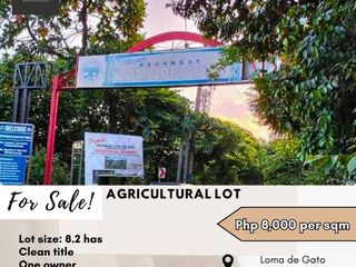 For Sale: Agricultural Lot located at Loma de Gato Marilao