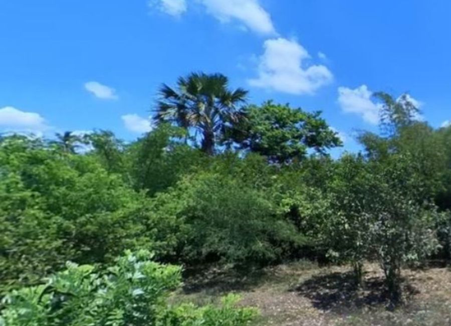 Purok 2, San Bartolome, San Pablo, Laguna image 3