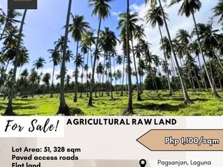 For Sale: Agricultural Raw Land located in Pagsanjan, Laguna