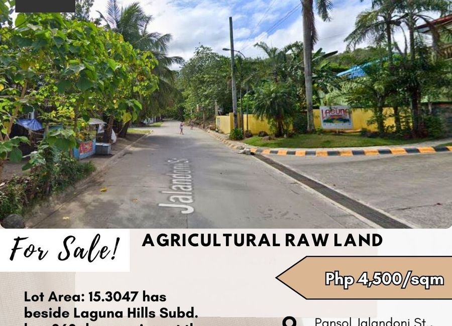 Jalandoni Street, Pansol, Calamba, Laguna