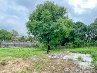Residential Lot for Sale in Amuntay Zone 3, Dasmarinas, Cavite