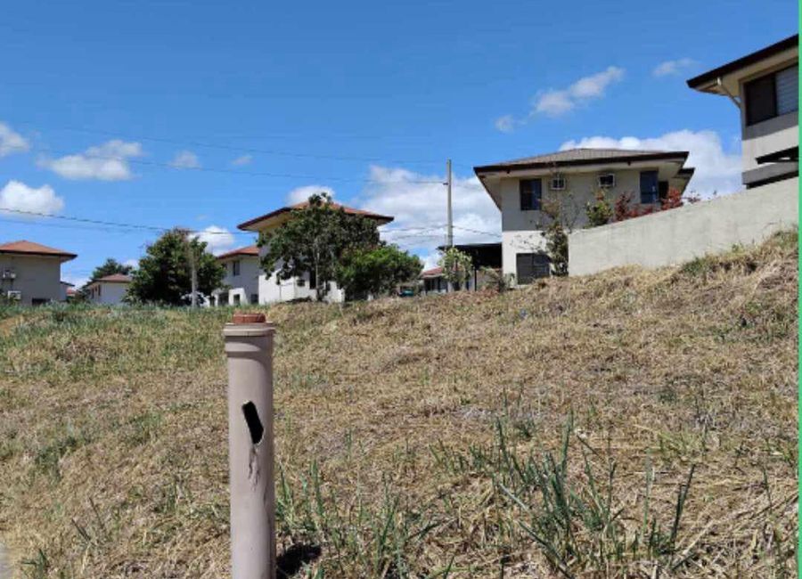 Evoliving Parkway, Avida Village Cerise, Canlubang, Calamba, Laguna image 2