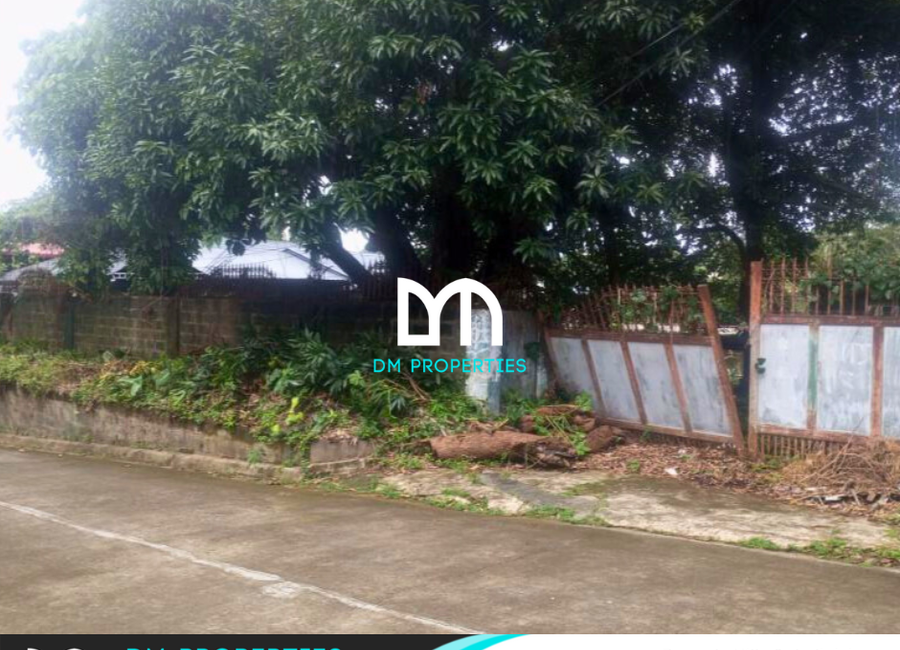 3rd Avenue, Beverly Hills, Antipolo, Rizal image 2