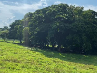FOR SALE - Vacant Lot in Pililia, Rizal