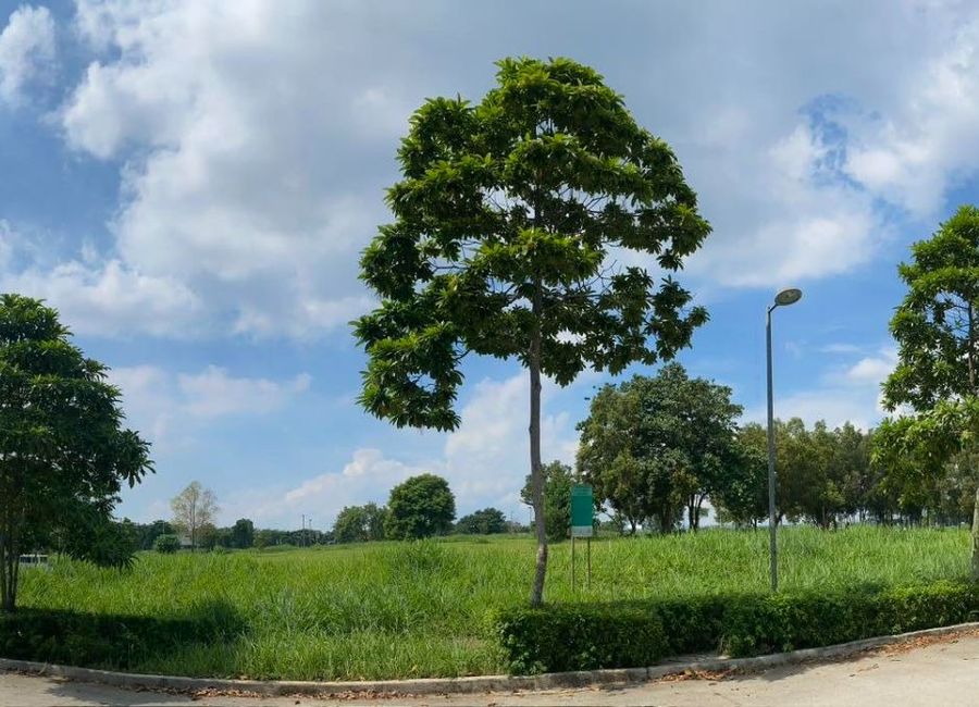 Nuvali Boulevard, Santo Domingo, Santa Rosa, Laguna image 2