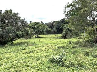 Commercial Lot for Sale in Brgy. Lapu Lapu II, San Jose, Batangas