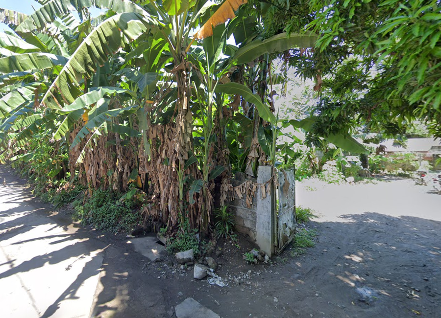 National Highway, Pagsawitan, Santa Cruz, Laguna image 2