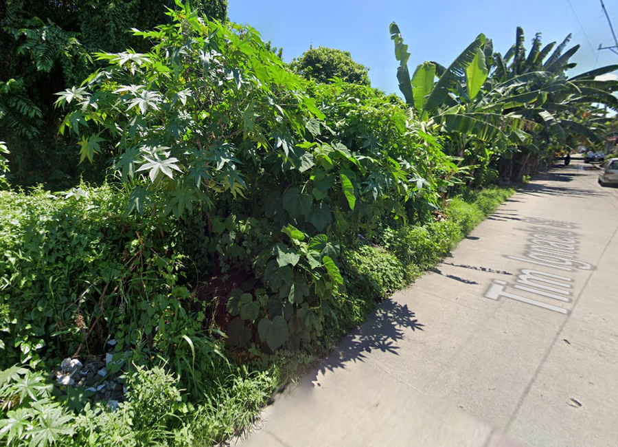 National Highway, Pagsawitan, Santa Cruz, Laguna image 3