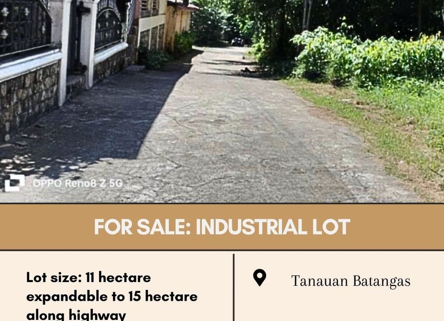 Mabini Avenue, Barangay 5, Tanauan, Batangas