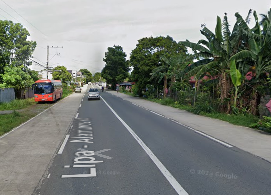 Alaminos-Lipa Road, San Luis, Santo Tomas, Batangas image 3