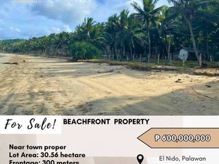 FOR SALE Beachfront Lot located at El Nido, Palawan