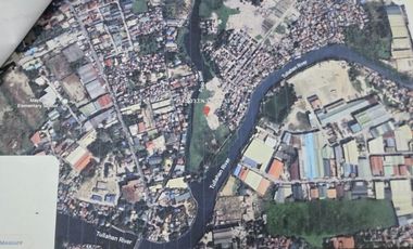 35,281 sqm lot for sale in Pinalagad, Malinta, Valenzuela, Bulacan