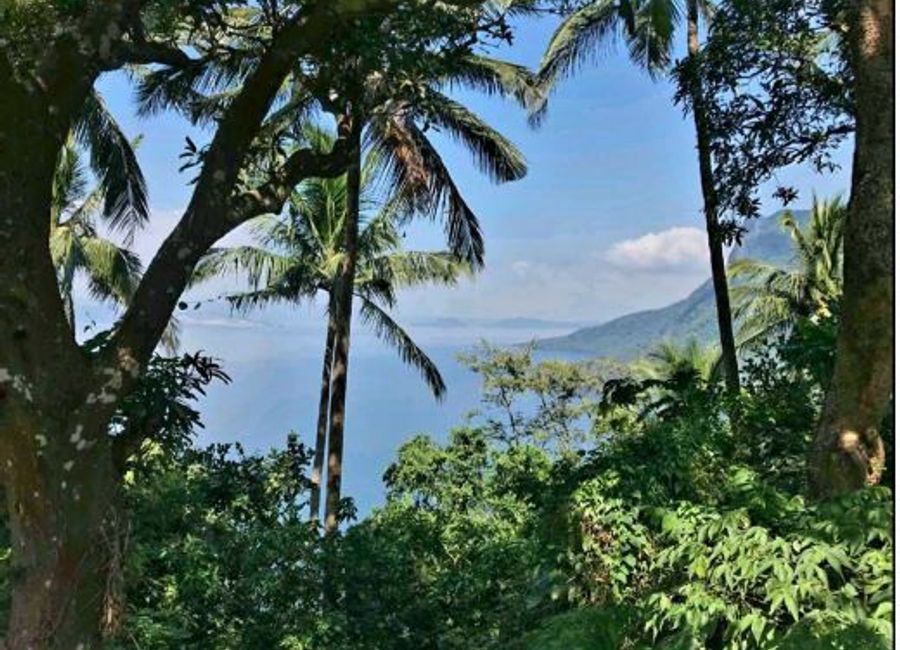 Pinagkurusan, Alitagtag, Batangas image 2