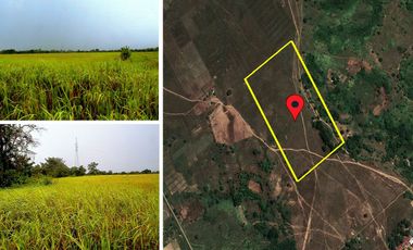 54,025 m2 / 13.34 Acres | Sizable Estate Near a Growing Population