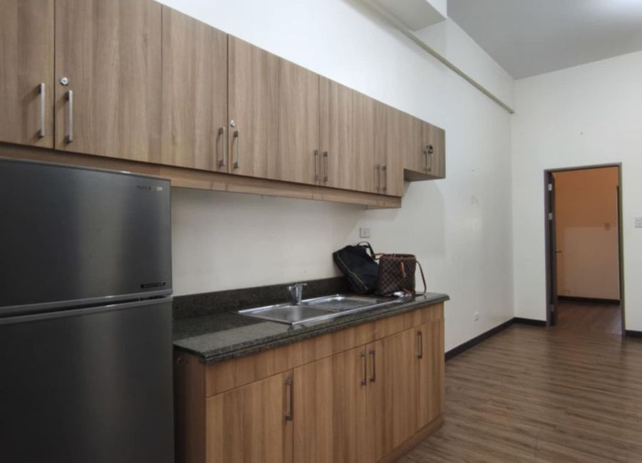 DMCI Bristle Ridge 1BR Condo Unit for Sale with Parking (44sqm ...