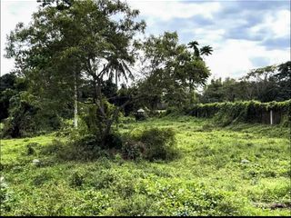 16,835 sqm Commercial Lot for Sale in Lapu-Lapu II, Batangas City