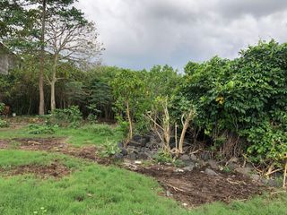 Freehold - Rare Opportunity! Land in commercial located in Ubung Kaja, Denpasar Utara, Bali