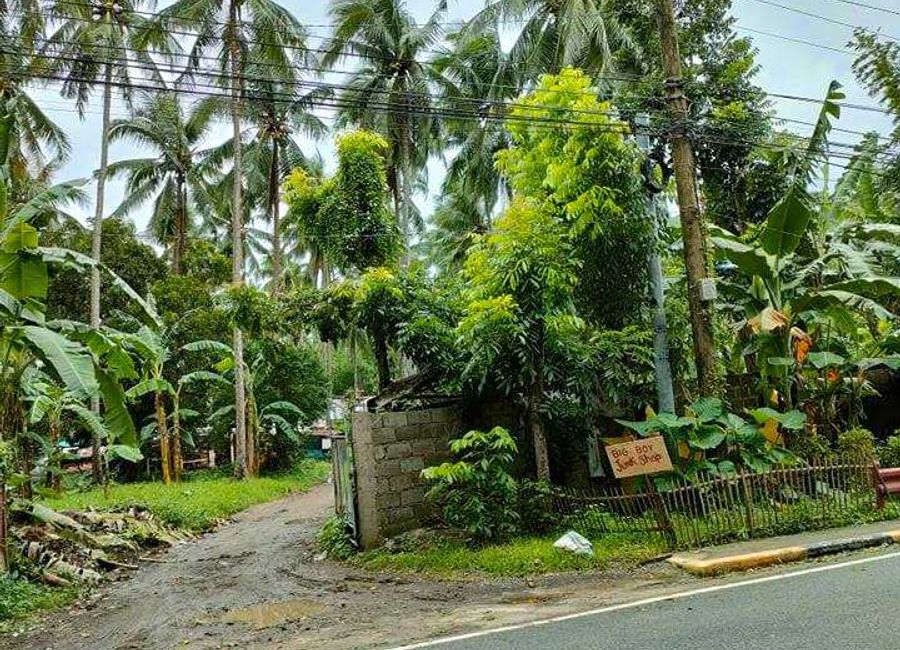 Lipa - Ibaan Provincial Road, Mabini, Lipa, Batangas image 2