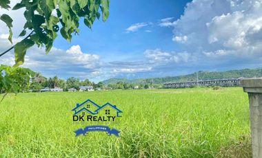 2,422 sqm Lot for Sale in Butuan City