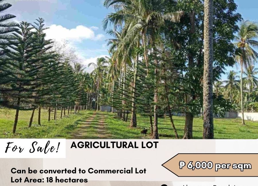 Alaminos-Lipa Road, San Luis, Santo Tomas, Batangas