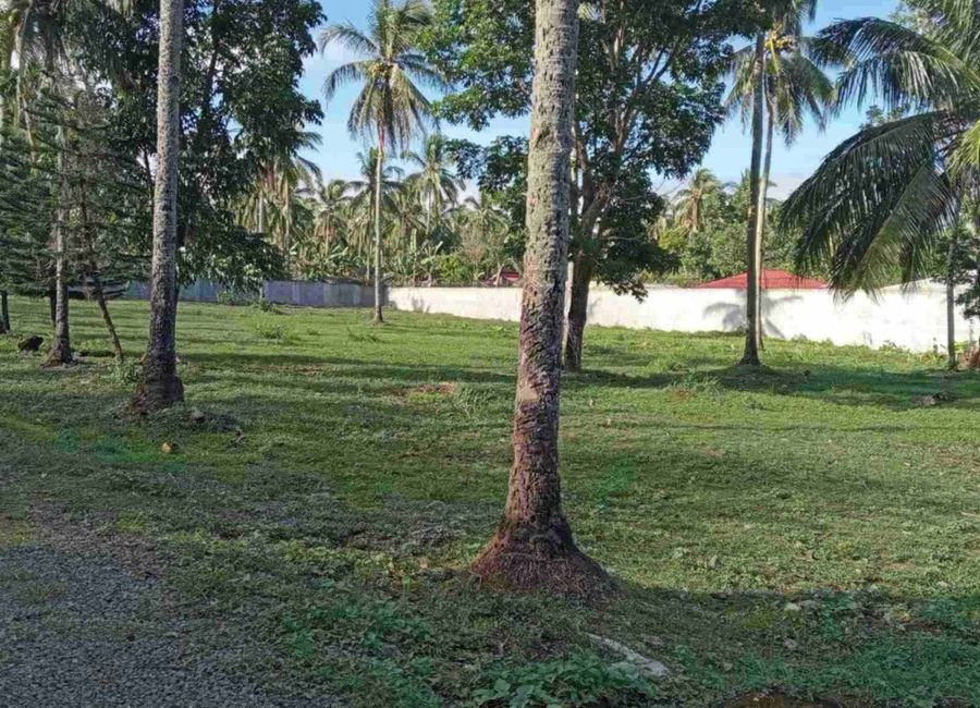 Alaminos-Lipa Road, San Luis, Santo Tomas, Batangas image 2