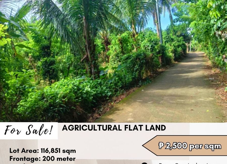 Lipa-San Antonio Road, Sapac, Santo Niño, Lipa, Batangas