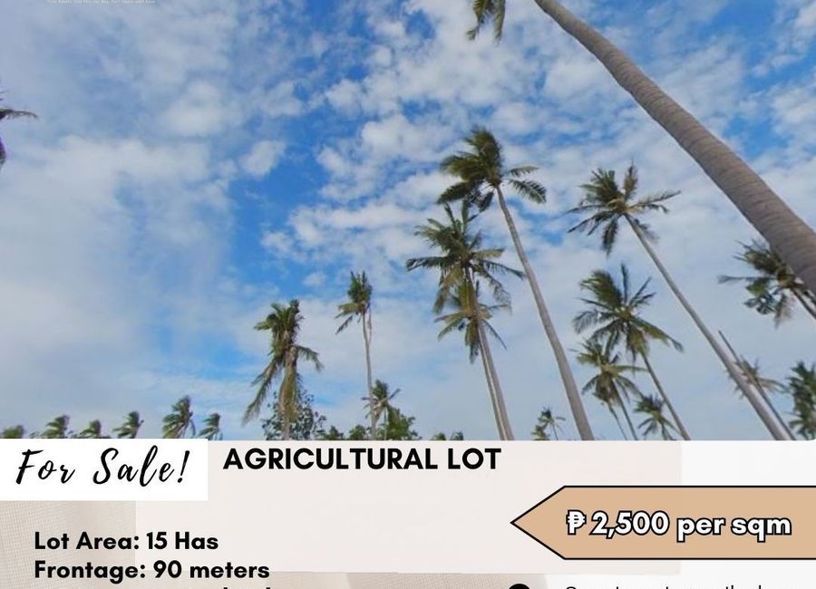 San Juan - Laiya Road, Calubcub II, San Juan, Batangas