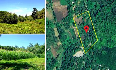 17,347 m2 / 4.28 Acres | Estate Land for Farming or Development