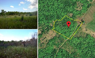 21,058 m2 / 5.2 Acres | Homestead Estate for Farming Compound