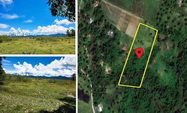 5,517 m2 / 1.56 Acres | Asset Estate within Economic Zone