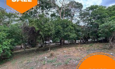 Begonia Drive, Beverly Hills Subdivision vacant lot