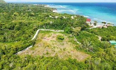 Attention : investors / entrepreneurs/ hotel or resort owners, developers. Vacant Lot for Sale near Alona Beach, great for villas in Panglao Bohol!