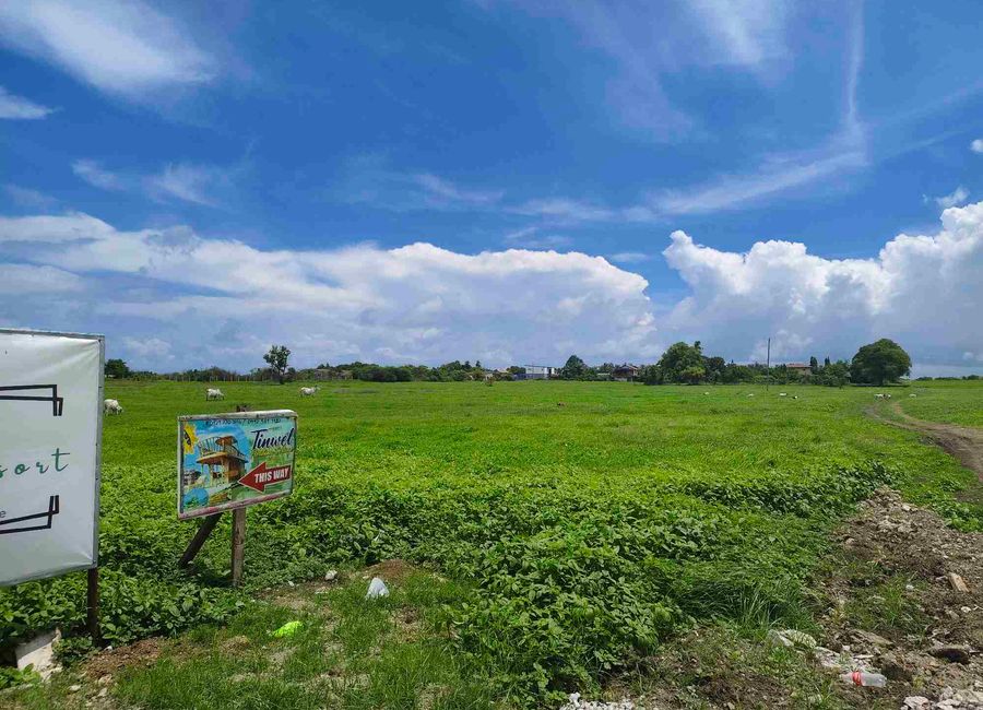 place photo 15