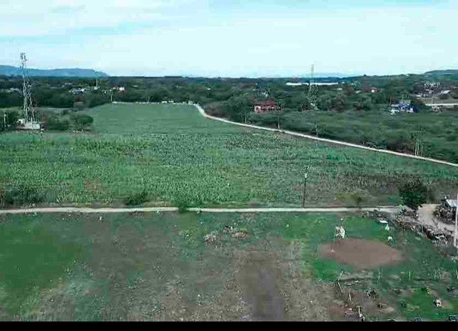 place photo 18