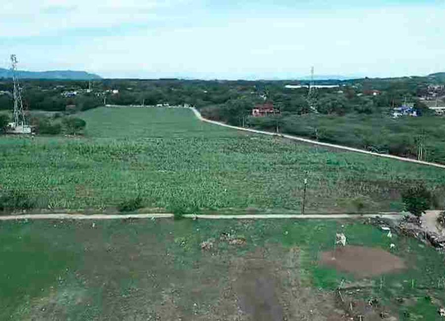 place photo 19