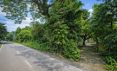 For Sale 2.6 Hectares Lot Along a National Highway in Janiuay, Iloilo