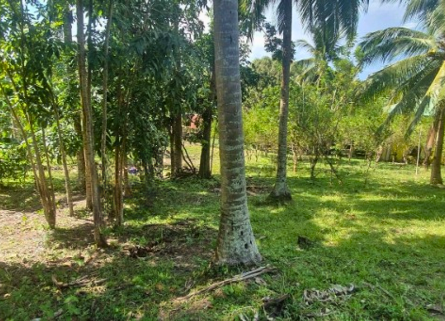 Quipot, San Juan, Batangas