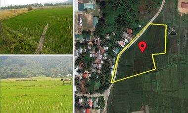 9,577 m2 / 2.37 Acres | Spacious Commercial Estate Near Beach
