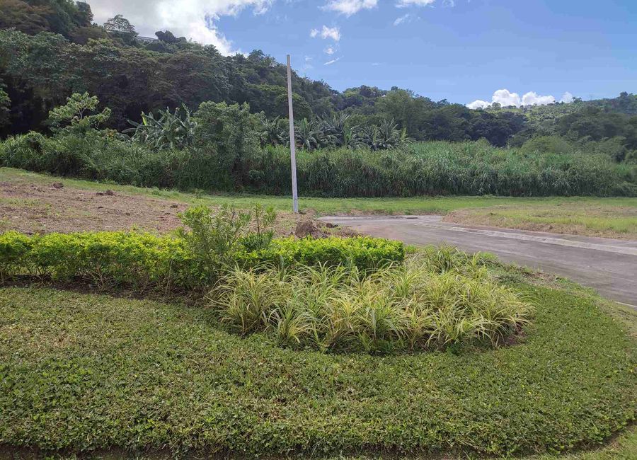 Mira Valley, San Roque, Antipolo, Rizal image 3