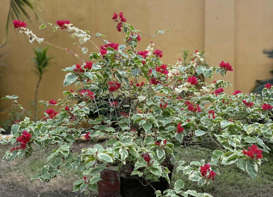place photo 64